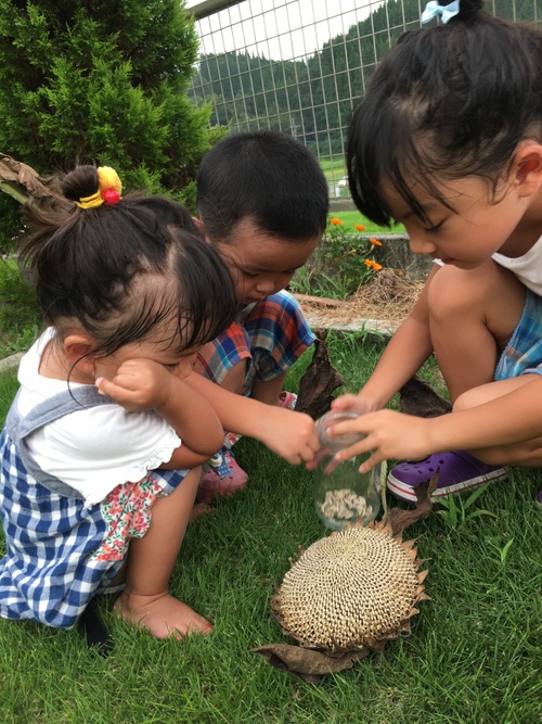 夏から秋へ