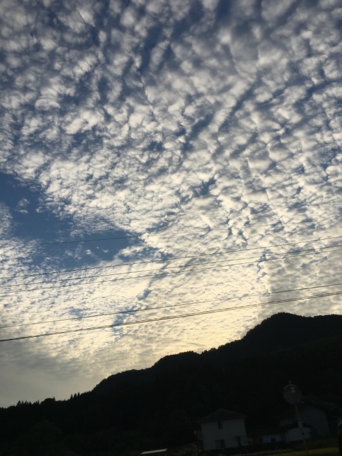 秋の空