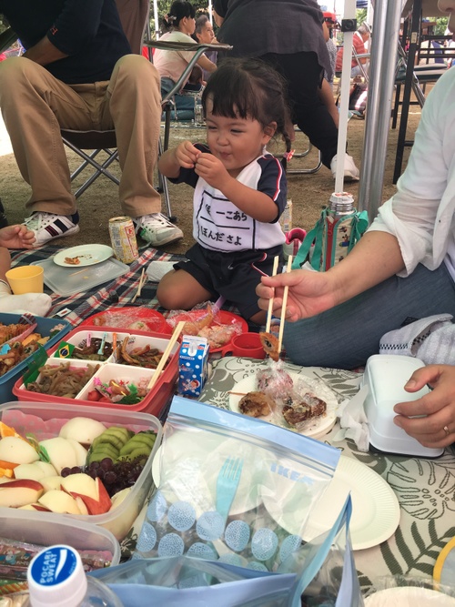 今週は運動会！