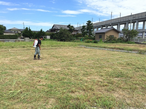 まだまだ夏！？