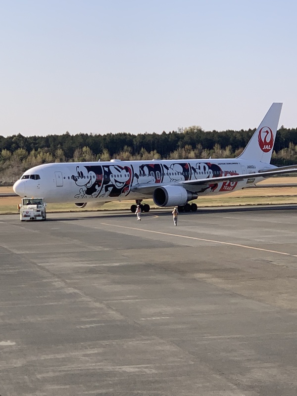 タンポポとシロツメクサとの戦いは続く・・・