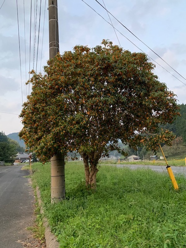 早めの大掃除のススメ