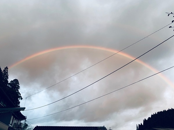 雨の後には・・・