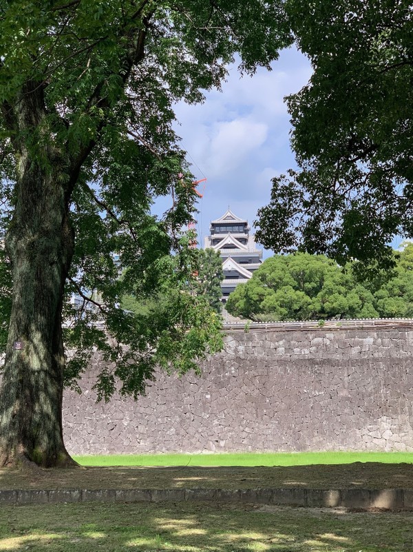 熊本城を眺めて！