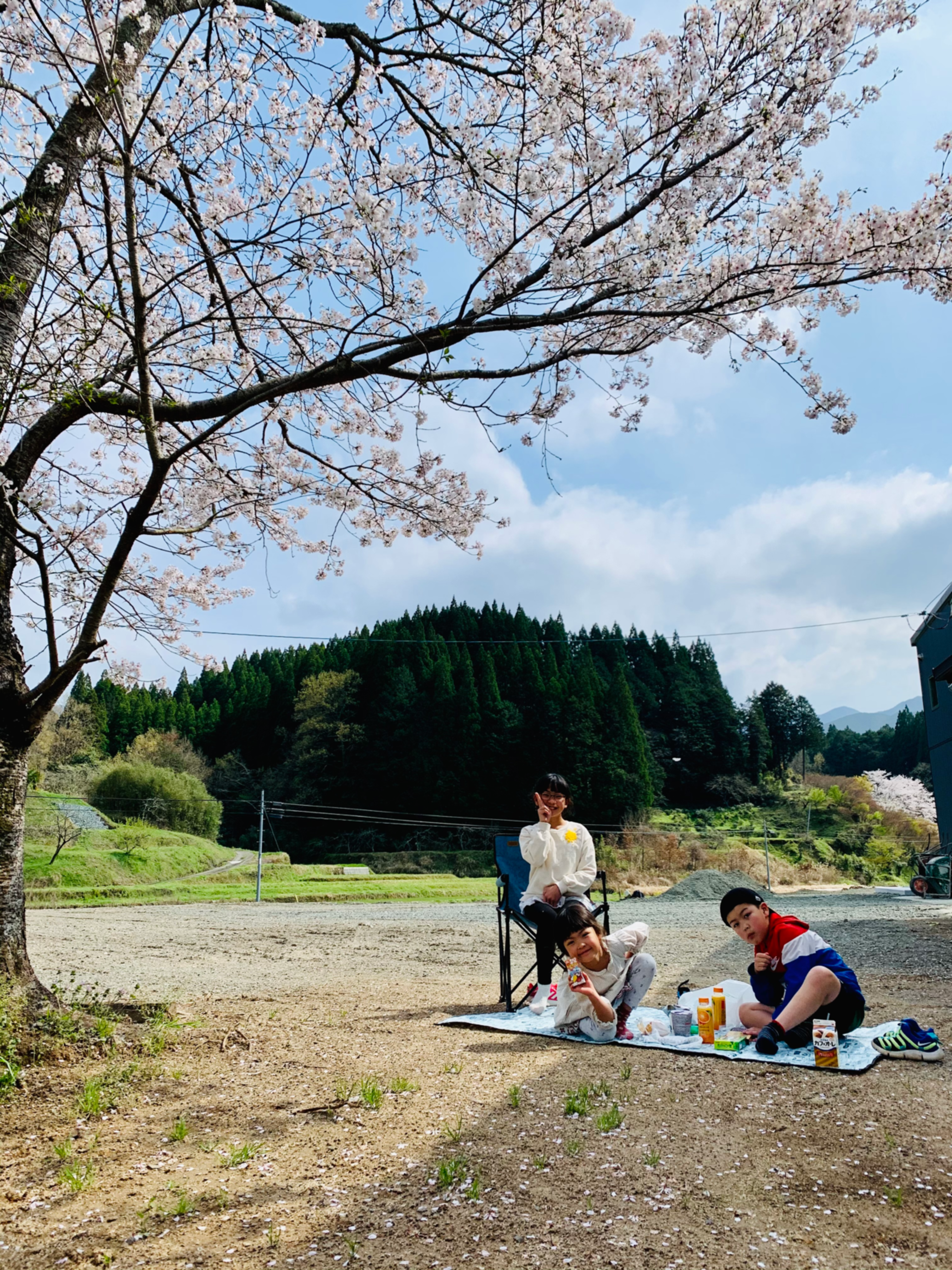 こどもお花見♪