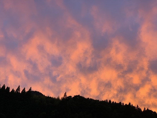 ムラサキとピンクの空