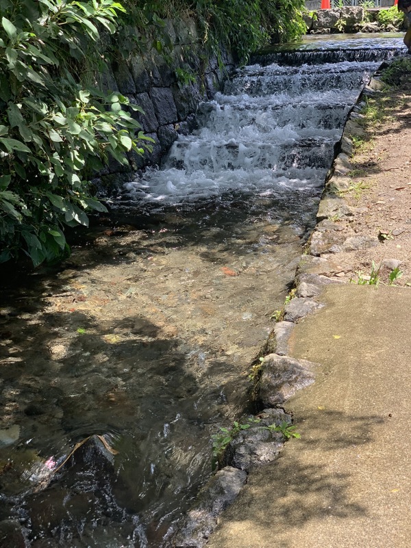 夏の一日　IN　江津湖