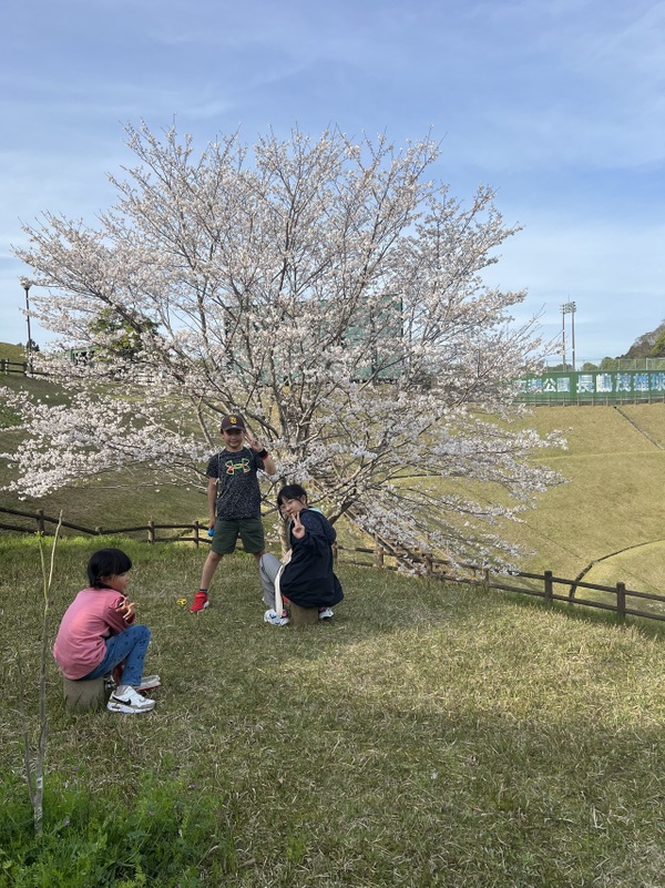 桜咲く♪