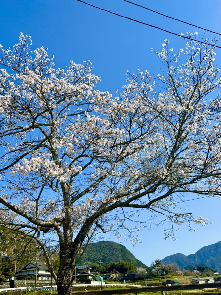 日常に感謝