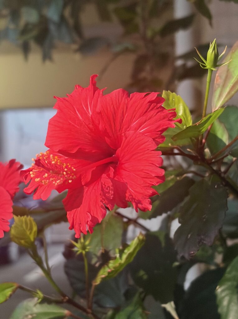 沖縄遠征の続きの話