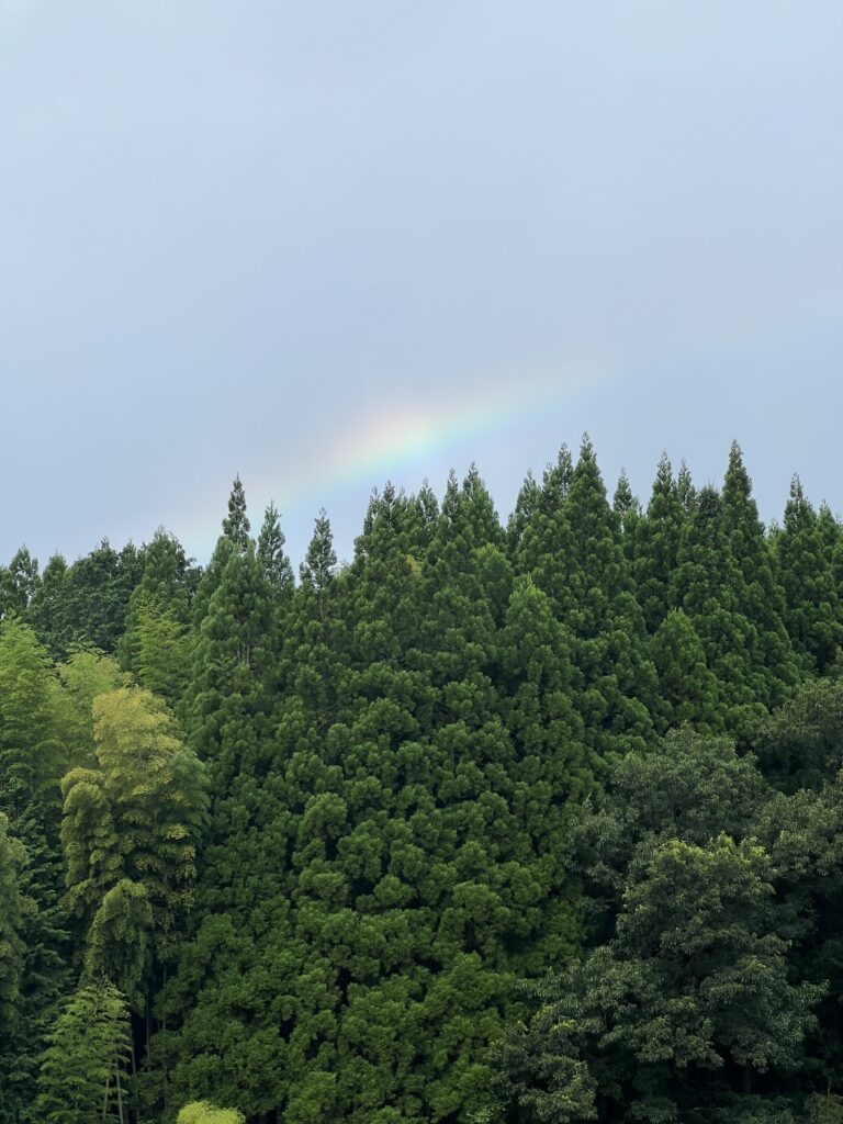 朝からの虹