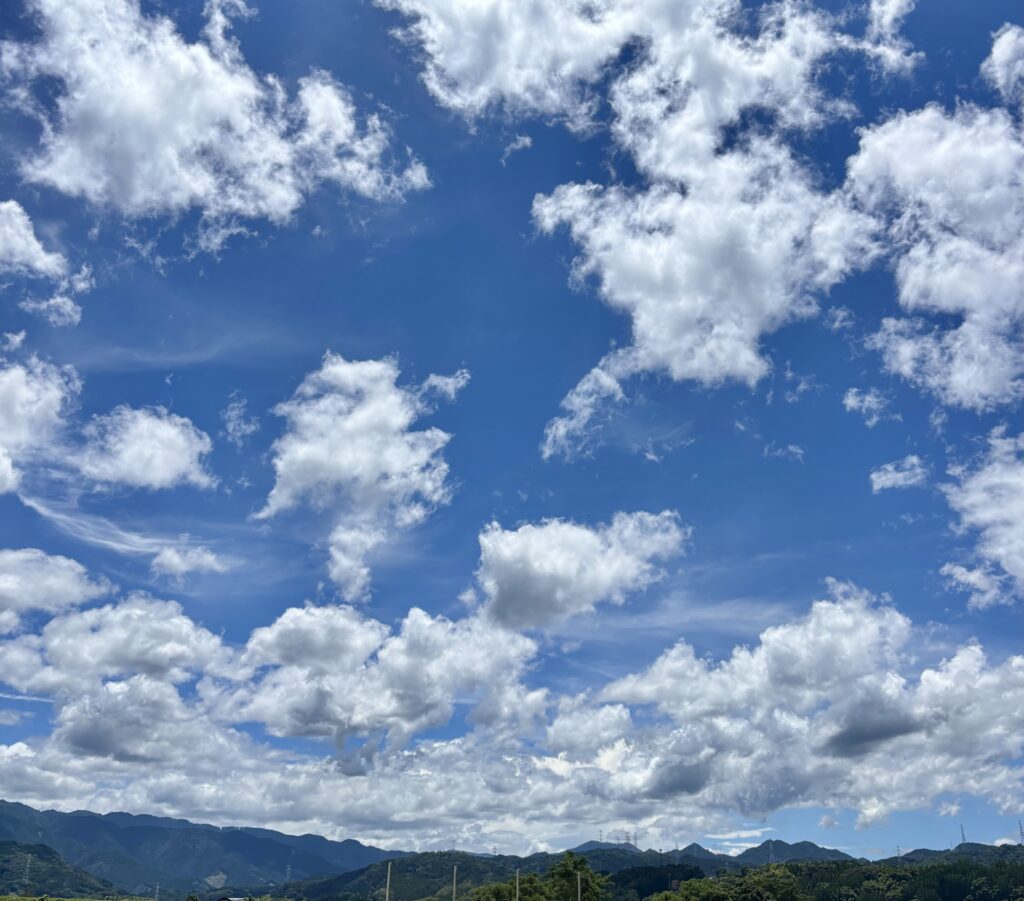 暑さにも負けずに！